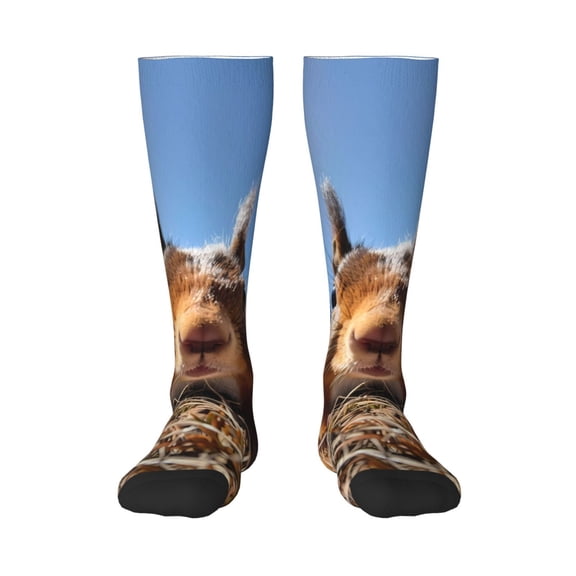Logiee Close-Up Curious Squirrel Print Gift Stocking Stuffers,Adult Stockings,Novelty Socks,Funny Socks Birthday Running Walking Sleeping