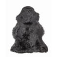 thumbnail image 1 of Natural Milan Sheepskin Single Rug | 2'x3' | A, 1 of 1
