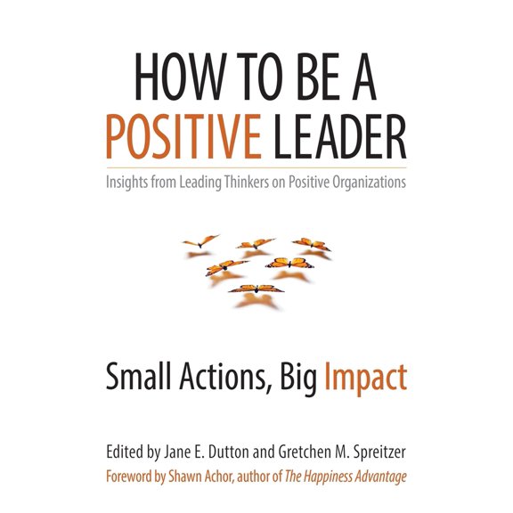 Pre-Owned How to Be a Positive Leader: Small Actions, Big Impact (Paperback) 1626560285 9781626560284
