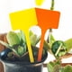 thumbnail image 3 of Etiquetas de plantas aromáticas 15 cm - Portaetiquetas amarillo para el jardín - Etiquetas de plantas para semillas set de 15 - Etiquetas de plantación de plástico, 3 of 5