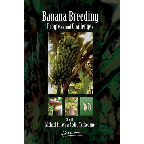 Banana Breeding: Progress and Challenges, (Hardcover)