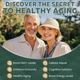 thumbnail image 4 of MEGNETA Liposomal NAD+ Supplement 1200mg with Trans Resveratrol - Boost NAD+ Levels, Energy & Anti-Aging Support - Vegan, 100 Capsules, 4 of 6