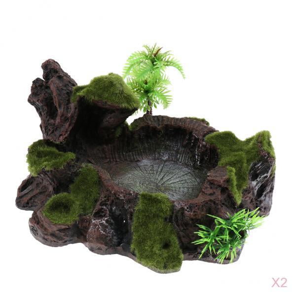 Cuenco de Alimentación de Terrario Zulema Cuenco de Agua de Planta Negra 18 cm