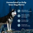 thumbnail image 5 of Blue Buffalo Wilderness Natural High-Protein Adult Dog Dry Food, Chicken Recipe, 13-lb., 5 of 12