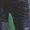 TSHIRT-BLACK, variant on Machine Gun Kelly (Music) MGK Logo T-shirt Sizes S-5XL The Golden Shop