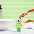thumbnail image 3 of Softsoap Antibacterial Liquid Hand Soap, Fresh Citrus Scent, 332 ml Bottle, 3 of 11