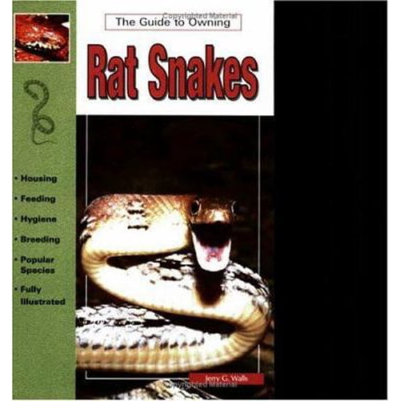Pre-Owned Rat Snakes (Paperback) 0793802563 9780793802562