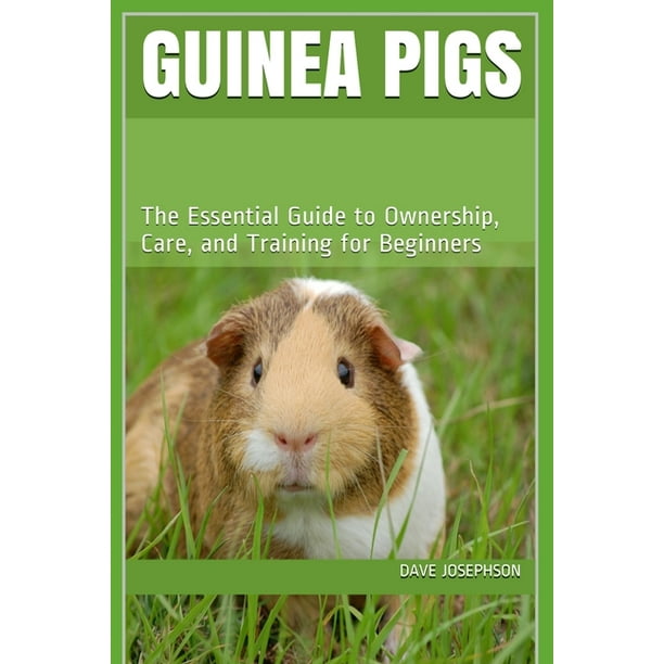 Guinea Pigs The Essential Guide to Ownership, Care, and Training for