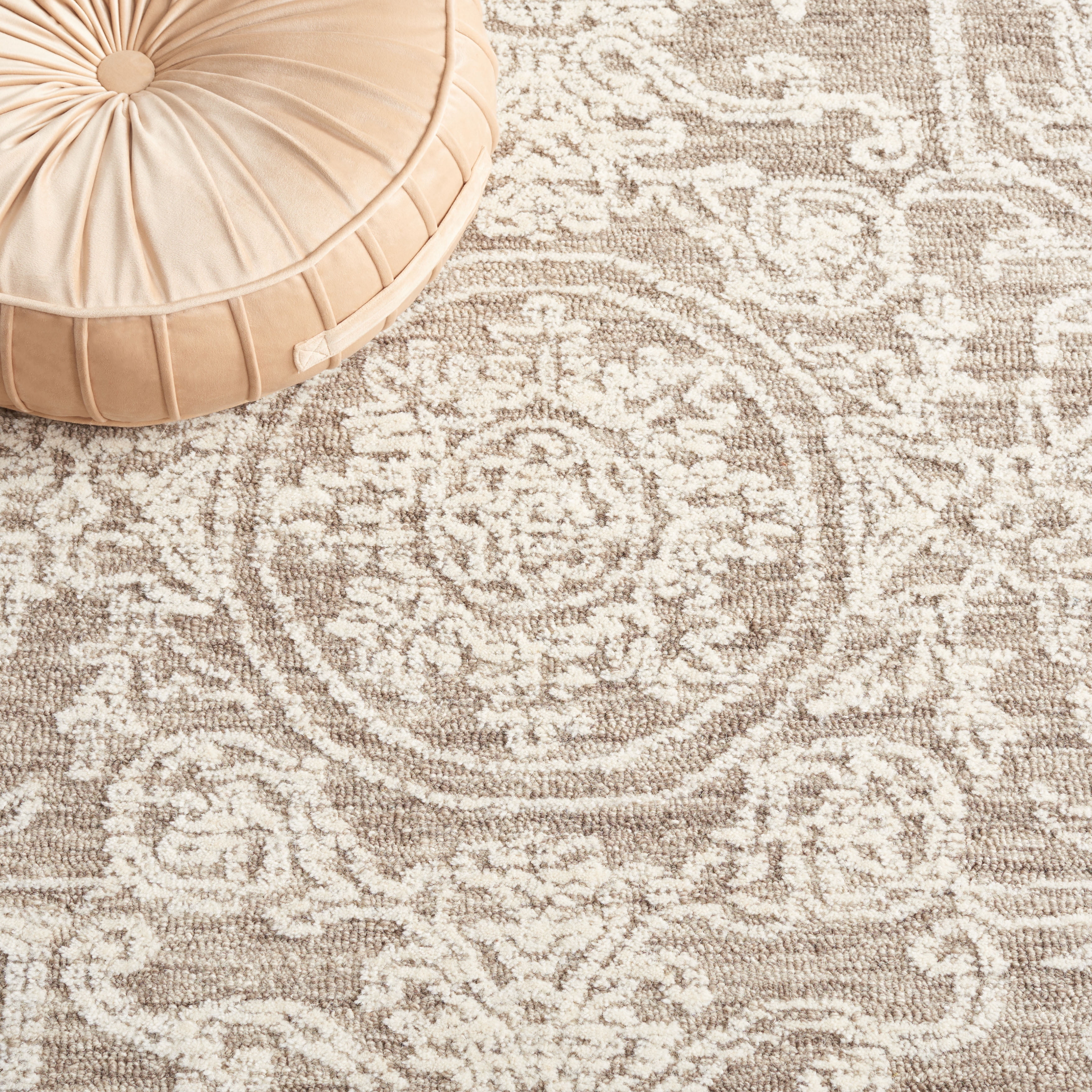 SAFAVIEH Ebony Ailin Traditional Area Rug, Ivory/Dark Grey, 8' x 10'