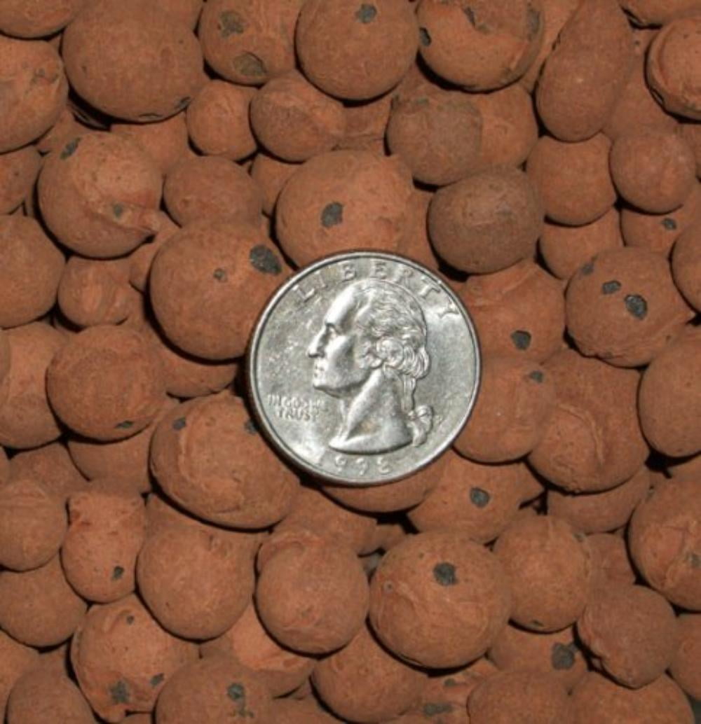 Leca Clay Orchid/Hydroponic Grow Media 4 lbs., Made of 100 natural