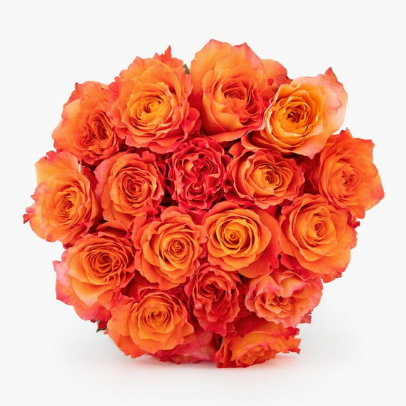 Free-Spirited- No Vase- Flower Delivery Service Bloomsybox