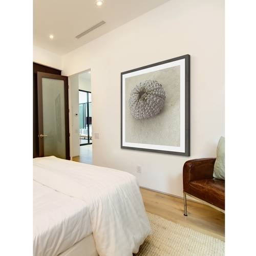 "White Urchin Shell" Framed Painting Print