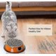 thumbnail image 2 of Cat Bowl 2 Pieces Cat Bowl, Stainless Steel Cat Bowl Set, Feeder And Waterer For Cat Puppy Hamster Rabbit Small Animal - Orange And Gray Banmo, 2 of 5