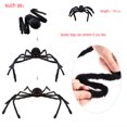 thumbnail image 3 of Popular! 20 PC Halloween Plastic Black Spider Joking Toys Decoration Realistic Clearance Ghost, 3 of 4