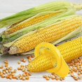 thumbnail image 5 of 2 Pack Corn Brush Removes Silk Corn Desilker Portable Corn Cob Desilking Brush, 5 of 5