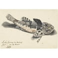 thumbnail image 2 of Johannes le Francq van Berkhey 24x18 Gold Ornate Framed and Double Matted Museum Art Print Titled - Zeedderdrad (1750), 2 of 4