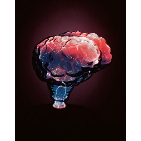Lumisource Mini Brain Electra Lamp in Blue / Red