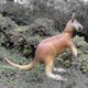 thumbnail image 2 of 40 Inch Kangaroo Air Stuffed Animal - Blow Up Australia Safari Figure, Pool Party Decoration, Birthday Gift For Kids - Multicolor, 2 of 2