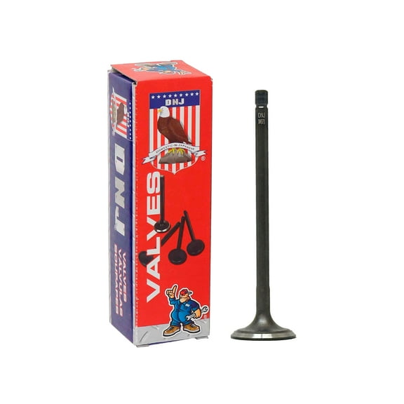 DNJ IV4373 Intake Valve Set Fits Cars & Trucks 2017-2022 Hyundai Elantra 1.4L L4 1353cc 16V DOHC