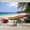 Color 4, variant on Wallpaper Straw umbrella Eagle Beach Aruba Peel and Stick Wall Murals 100"H x 144"W Removable PVC Wall Paper Self-Adhesive Wall Paintings Art Decor for Bedroom Living Room