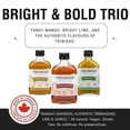 thumbnail image 4 of FIRECRACKER PEPPER SAUCE 3 PACK - TRIO Lumineux et Audacieux, 4 of 15
