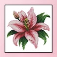 thumbnail image 3 of Cuadros Decorativos Parcial punto de cruz flor lirio 14CT contado bordado DIY costura Wdftyju embutido en tela, 3 of 9