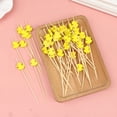 thumbnail image 3 of 100 adornos for tartas de patito amarillo, brochetas decorativas de bambú de 4,72 pulgadas for postres, ensaladas y sándwiches, perfectos for fiestas, restaurantes y eventos de hotel, 3 of 7