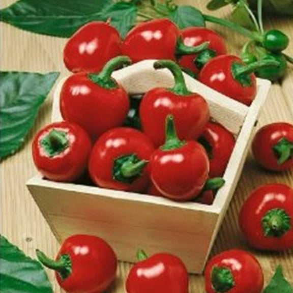 Mountain Valley Seed Company 125 Large Red Cherry Hot Pepper Plant Seeds, Non-GMO