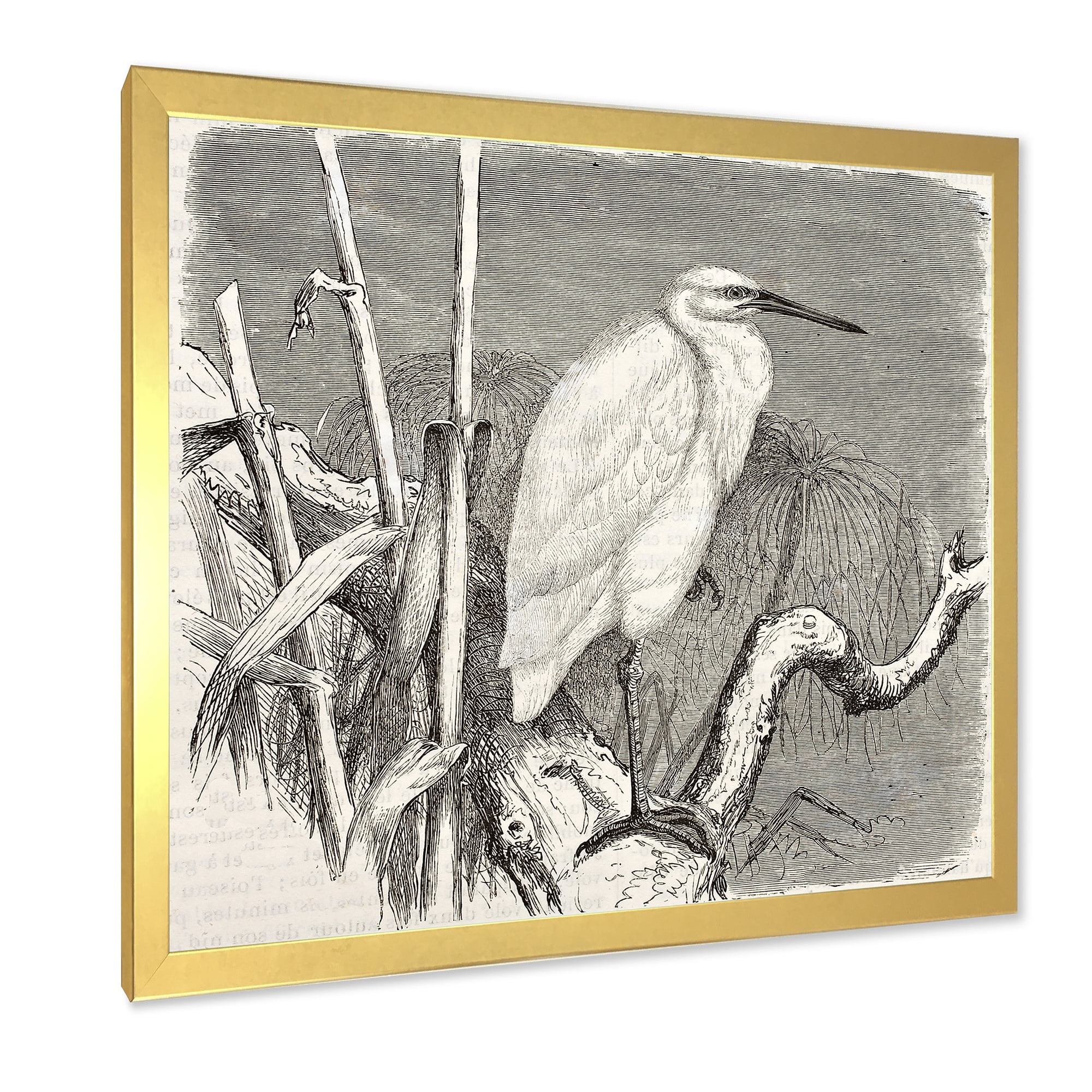 Designart 'Little Egret Bird in Monochrome' Farmhouse Framed Art Print
