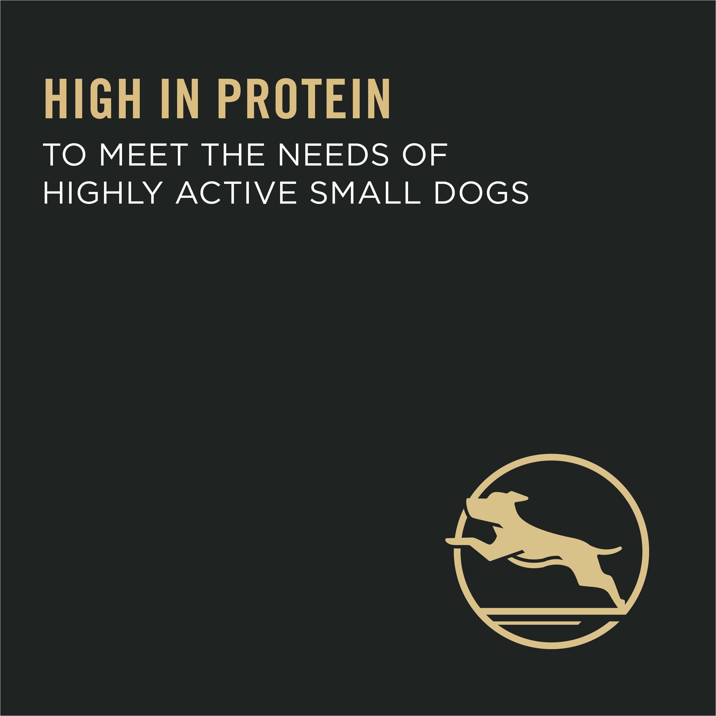 Nestle Purina Pro Plan Dry Dog Food - Chicken/Rice, Puppy, 6 lb 4581002