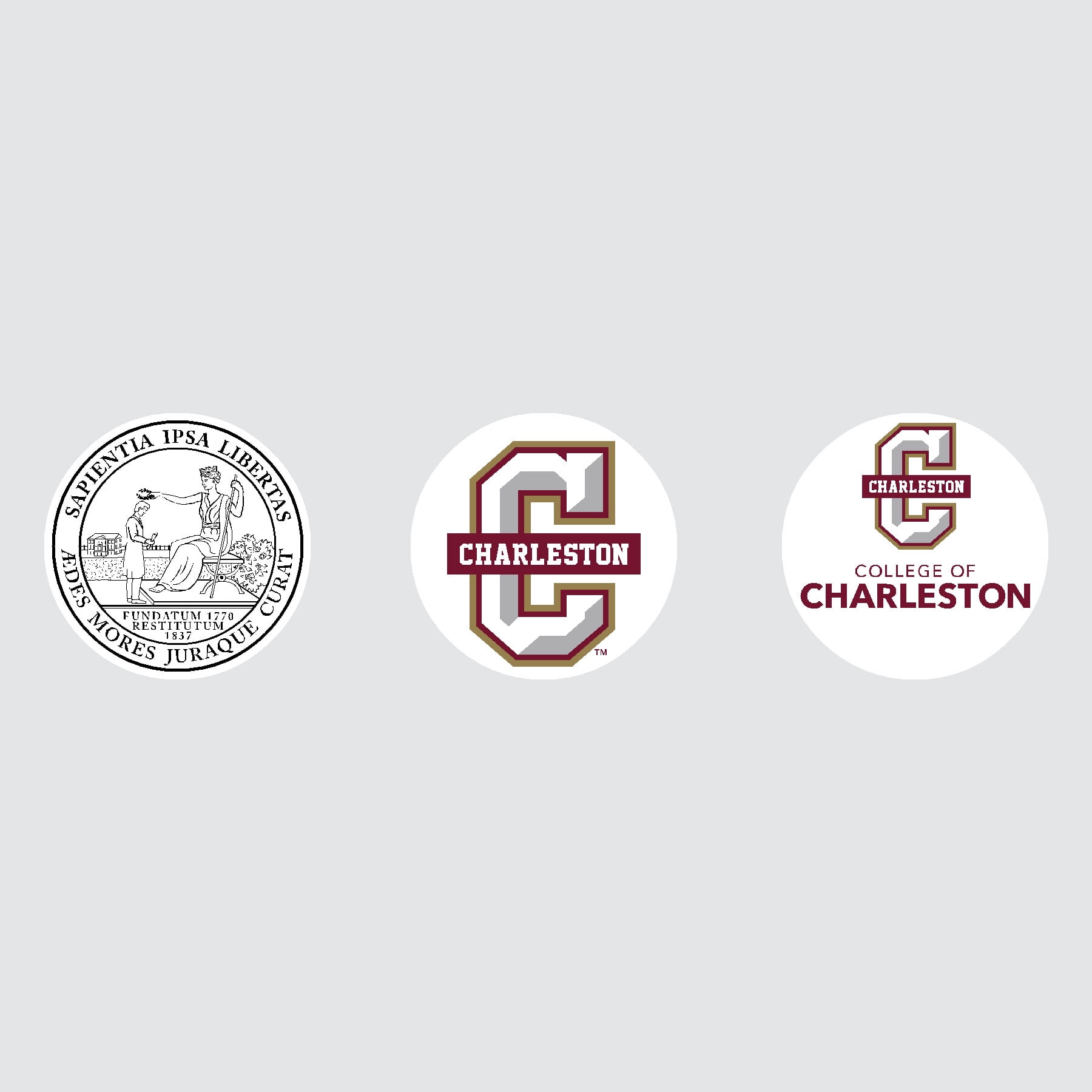 College of Charleston Cougars Edition Taylormade Distance+ Golf Balls 12-Pack (Dozen)