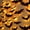 Black, Orange, variant on DUHKP 36 Pack Light Up Bats Halloween Decorations, Orange | 3D Stereoscopic Design, Removable Bat Wall Stickers, for Indoor Outdoor Windows & Home Parties