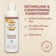 thumbnail image 4 of Creme of Nature Coconut Milk Detangling Conditioner 12 oz (Pack of 6), 4 of 7