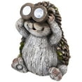 thumbnail image 5 of Northlight Hedgehog with Binoculars Outdoor Solar Lighted Garden Statue - 11.5", 5 of 9