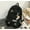 Small, variant on Small Schoolbag Female Ins Korean Version Of High School And Elementary School Students,Small