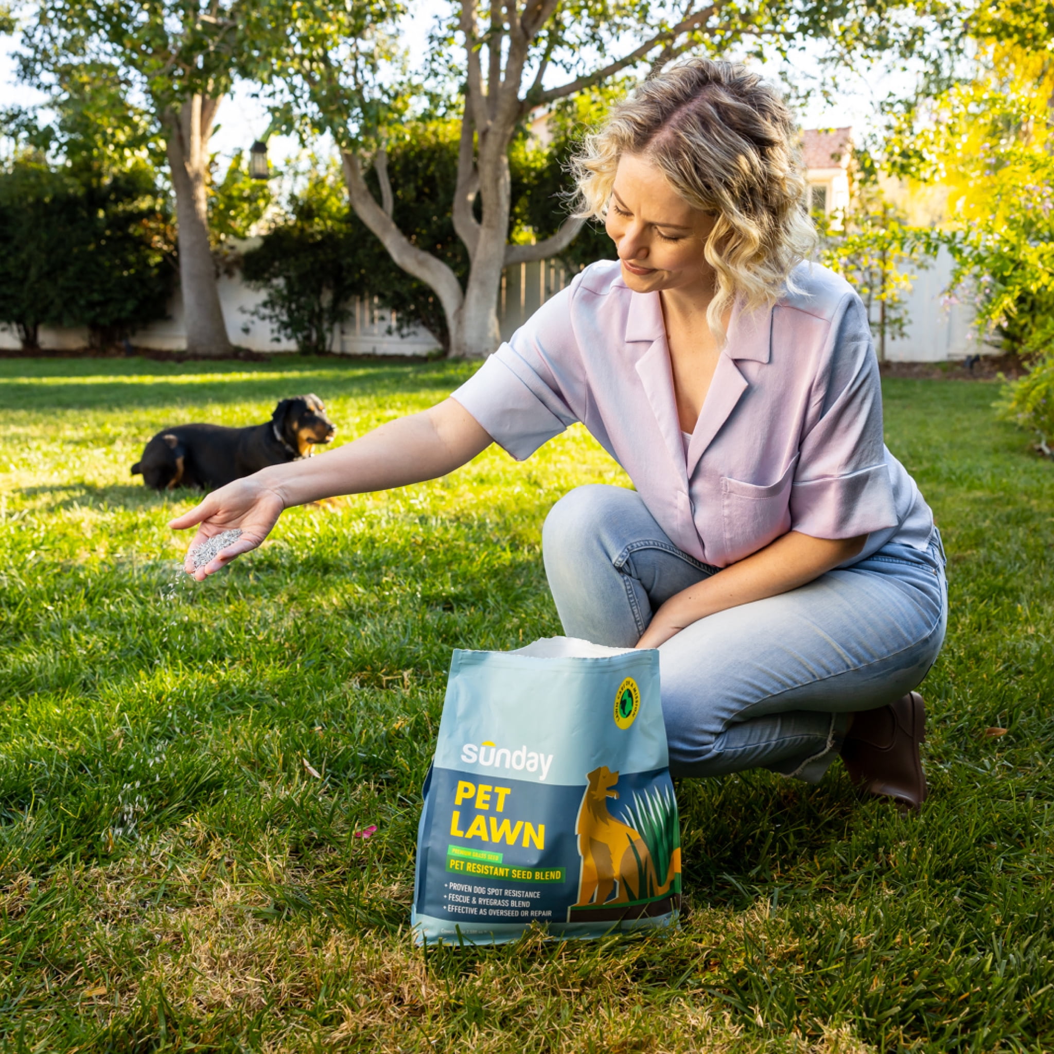 Sunday Pet Lawn Premium Urine-Resistant Pet-Safe Grass Seed, 5 lb Bag, Sun & Shade