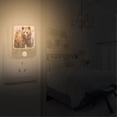 thumbnail image 7 of Bear Night Lights Plug into Wall LED with Auto Light Sensor Warm Light for Kids Hallway Bedroom Living Room Kitchen Bathroom Set of 2, 7 of 7