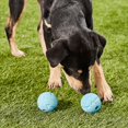 thumbnail image 4 of CHUANK Repousse les Jouets Recyclés en Caoutchouc pour Chiens Medium 2 Number, 4 of 7