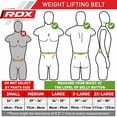 thumbnail image 6 of RDX Weight Lifting Belt Cow Hide Leather 4" Back Support Training Gym Fitness Workout Exercise Bodybuilding, 6 of 12