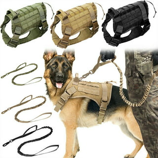 Wiener dog tactical vest｜TikTok Search