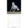 Tushita Publishing, Magic Horses 2025 Wall Calendar