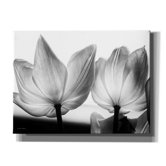 Epic Graffiti 'Translucent Tulips V' by Debra Van Swearingen, Canvas Wall Art, 16"x12"