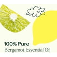 thumbnail image 4 of TRATAK ORGANICS Bergamot Essential Oil for Diffuser and Skin - 4 Fl Oz - 100% Pure Natural Bergamot Oil for Aromatherapy, Hair Shampoo, Bath Bomb & Soap Making Scent DIY, 4 of 6