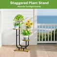 thumbnail image 6 of 4 Tier Plant Stand Indoor, Corner Tiered Multiple Flower Holder Shelf with Wooden Trays, Orchid Display Metal Rack for  Porch Living Room Balcony Outdoor, Modern Black & Rustic Brown, 6 of 6