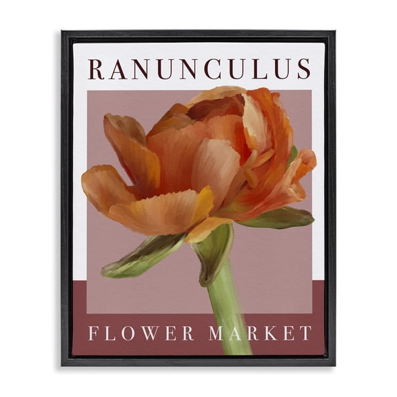 Stupell Industries Traditional Ranunculus Flower Market Black Floating Frame Canvas Art, 17 x 21, by Jennifer Stith