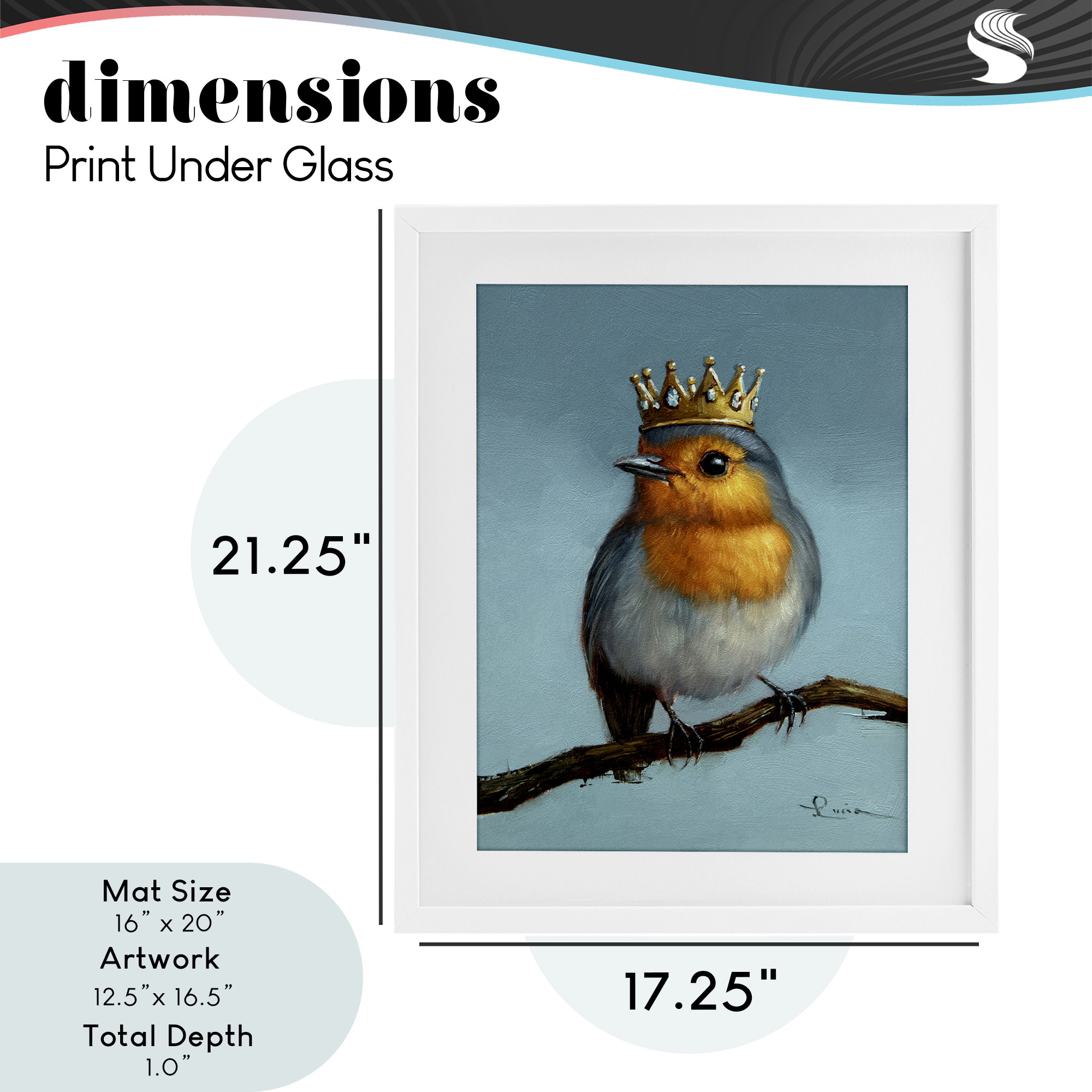 Royal Robin Perched White Framed Print Under Glass, design by Lucia Heffernan