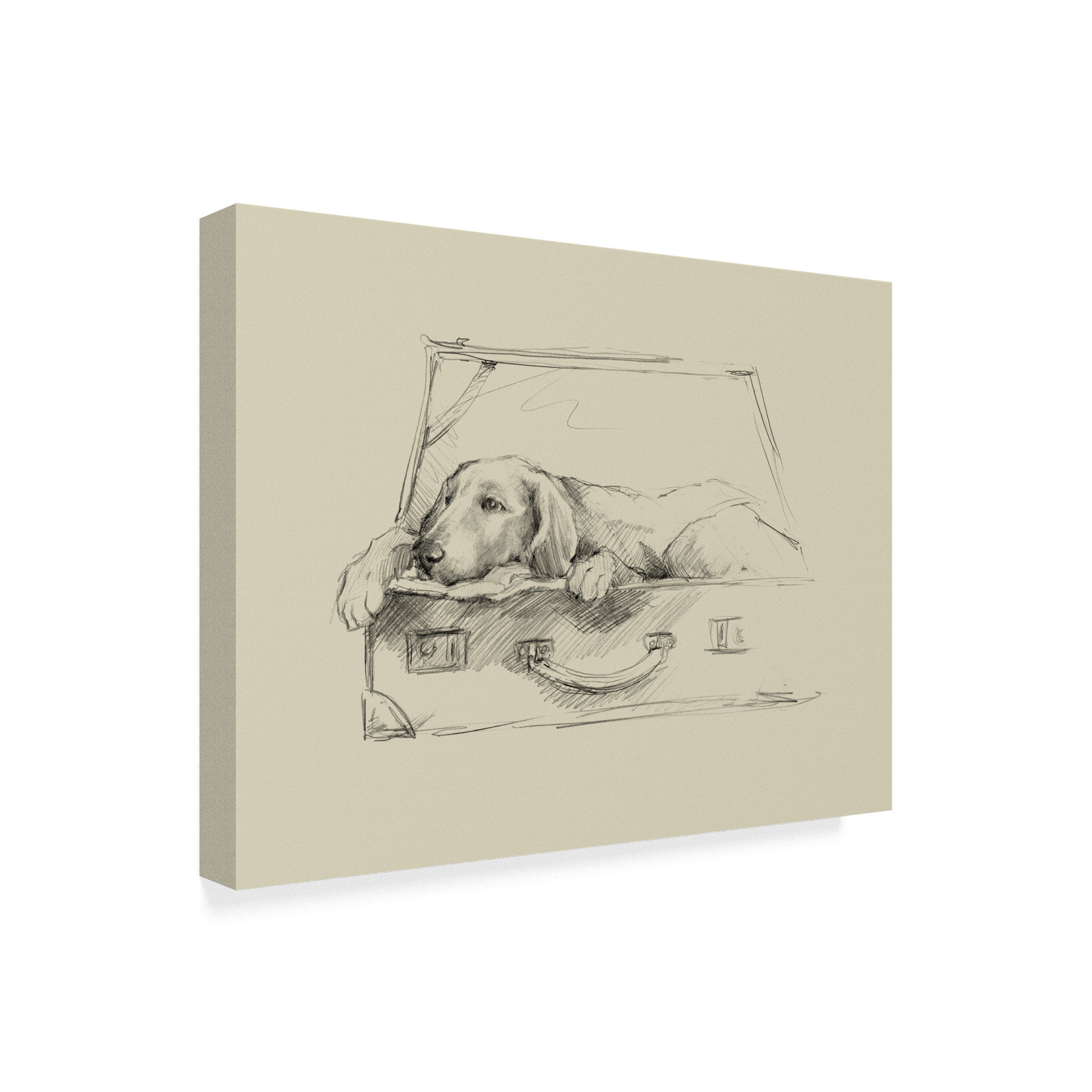 Trademark Fine Art 'Stowaway III' Canvas Art by Ethan Harper