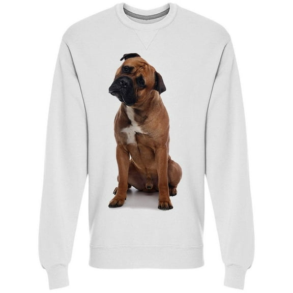 Beautiful Boxer Dog Sweatshirt Men -Image by Shutterstock, Male 3X-Large
