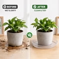 thumbnail image 5 of 6 Pack Plastic Plant Saucers, 16 inch Plant Tray for Pots, Heavy Duty Plant Drip Trays，Flower Water Trays for Indoor Outdoor Plants, 5 of 8