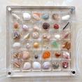 thumbnail image 3 of Priaora Generic Acrylic Magnetic Seashell Display Box, Clear Seashell Storage Box Display Case, Small Craft Organizers Container for Small Craft Organizer Case Bead, Gemstone, Nail, Jewelry (K180-1), 3 of 5